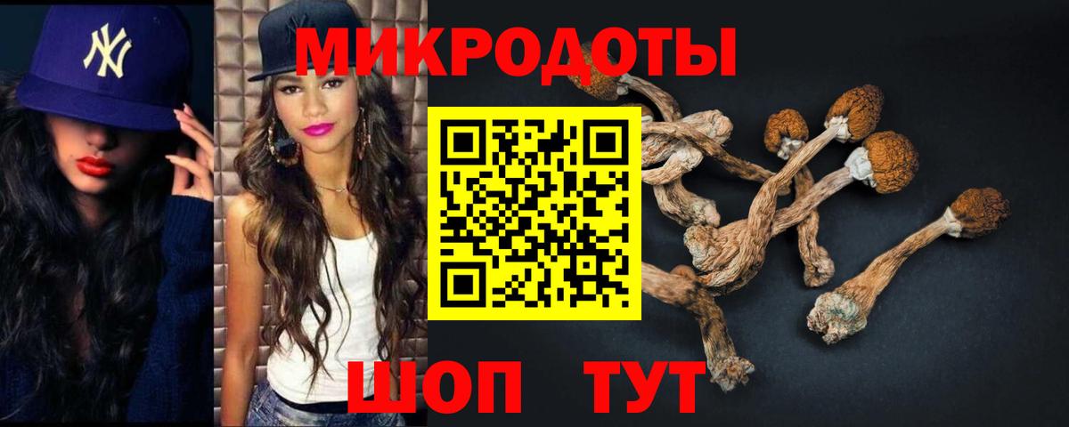 Галлюциногенные грибы мухоморы Каменск-Шахтинский