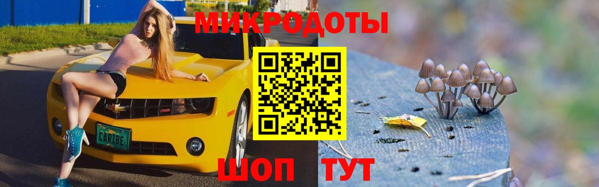 Каменск-Шахтинский  Галлюциногенные грибы прущие грибы  Вход с VPN  Псилоцибиновые грибы Magic Shrooms 