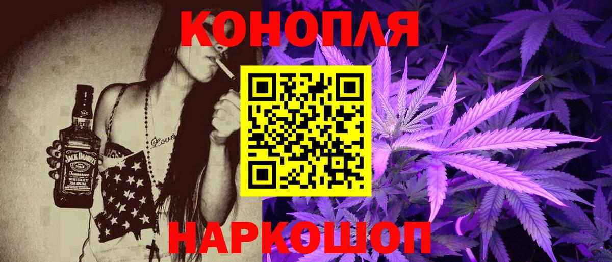 Бошки марихуана планчик  Каннабис семена  Конопля сатива  Шишки марихуана MAZAR  Вход с VPN  Каменск-Шахтинский 